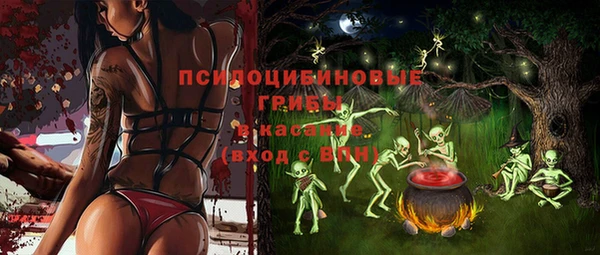 бутират Кукмор